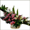 Beautiful Hope - Click here to View more details about this Product